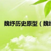 魏纾历史原型（魏纾）
