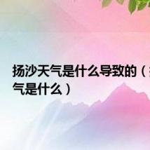 扬沙天气是什么导致的（扬沙天气是什么）