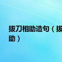 拔刀相助造句（拔刀相助）