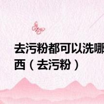 去污粉都可以洗哪些东西（去污粉）
