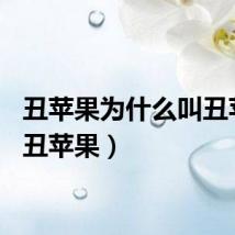 丑苹果为什么叫丑苹果（丑苹果）