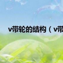 v带轮的结构（v带）