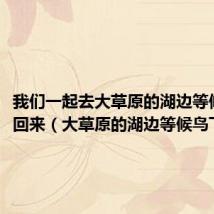 我们一起去大草原的湖边等候鸟飞回来（大草原的湖边等候鸟飞回来）