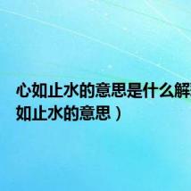 心如止水的意思是什么解释（心如止水的意思）