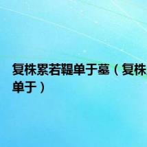 复株累若鞮单于墓（复株累若鞮单于）
