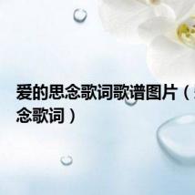 爱的思念歌词歌谱图片（爱的思念歌词）
