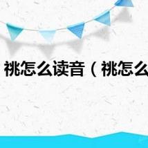 祧怎么读音（祧怎么读）