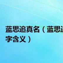 蓝思追真名（蓝思追的名字含义）