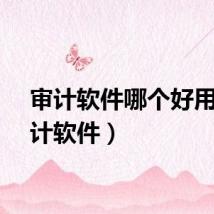 审计软件哪个好用（审计软件）