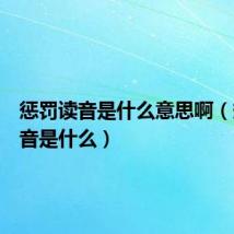 惩罚读音是什么意思啊（惩罚读音是什么）