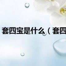 套四宝是什么（套四宝）