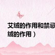 艾绒的作用和禁忌（艾绒的作用）