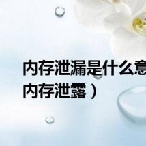 内存泄漏是什么意思（内存泄露）