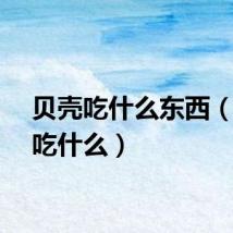贝壳吃什么东西（贝壳吃什么）