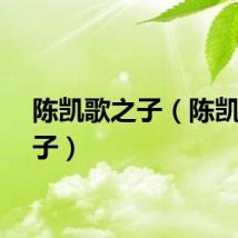 陈凯歌之子（陈凯歌侄子）