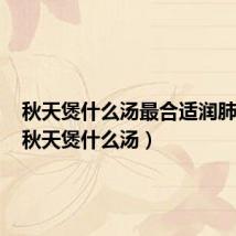 秋天煲什么汤最合适润肺养生（秋天煲什么汤）