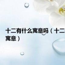 十二有什么寓意吗（十二有什么寓意）