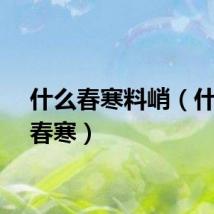 什么春寒料峭（什么的春寒）