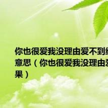 你也很爱我没理由爱不到结果什么意思（你也很爱我没理由爱不到结果）