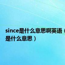 since是什么意思啊英语（since是什么意思）