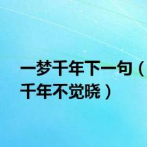 一梦千年下一句（一梦千年不觉晓）