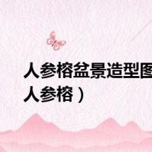 人参榕盆景造型图片（人参榕）