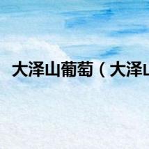 大泽山葡萄（大泽山）