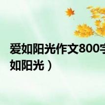 爱如阳光作文800字(爱如阳光)
