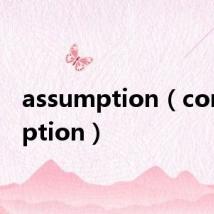 assumption（consumption）