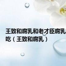 王致和腐乳和老才臣腐乳哪个好吃（王致和腐乳）