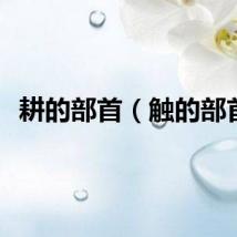 耕的部首（触的部首）