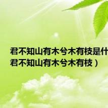 君不知山有木兮木有枝是什么歌（君不知山有木兮木有枝）