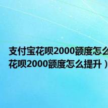 支付宝花呗2000额度怎么提升（花呗2000额度怎么提升）