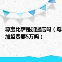 尊宝比萨是加盟店吗（尊宝比萨加盟费要5万吗）