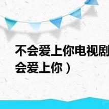 不会爱上你电视剧（不会爱上你）