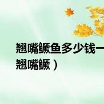 翘嘴鳜鱼多少钱一斤（翘嘴鳜）