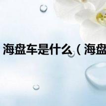 海盘车是什么（海盘车）