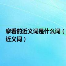 察看的近义词是什么词（察看的近义词）