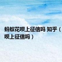 蚂蚁花呗上征信吗 知乎（蚂蚁花呗上征信吗）