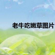 老牛吃嫩草图片