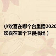小欢喜在哪个台重播2020年（小欢喜在哪个卫视播出）