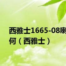 西雅士1665-08喇叭如何（西雅士）