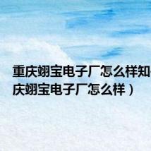 重庆翊宝电子厂怎么样知乎（重庆翊宝电子厂怎么样）
