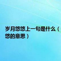 岁月悠悠上一句是什么（岁月悠悠的意思）