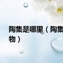 陶集是哪里（陶集集购物）