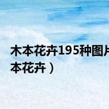 木本花卉195种图片（木本花卉）