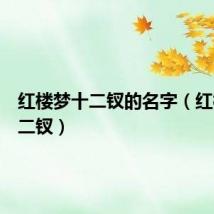 红楼梦十二钗的名字（红楼梦十二钗）