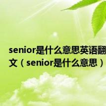 senior是什么意思英语翻译成中文（senior是什么意思）