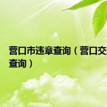 营口市违章查询（营口交通违章查询）