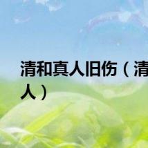 清和真人旧伤（清和真人）